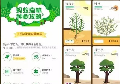手机种树一共要多少钱