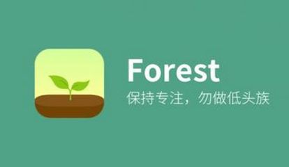 手机种树一共要多少钱
