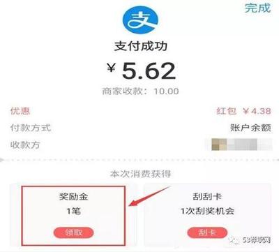支付宝红包分了多少钱
