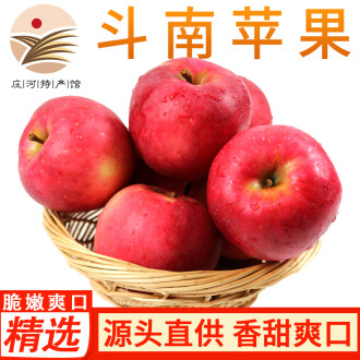不超过多少度摘国光苹果,0