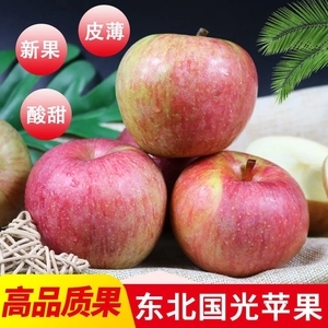 不超过多少度摘国光苹果,0