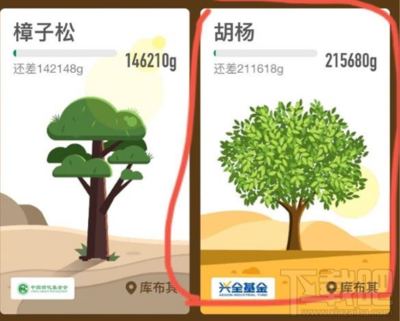 蚂蚁森林的胡杨需要多少能量