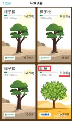 蚂蚁森林的胡杨需要多少能量