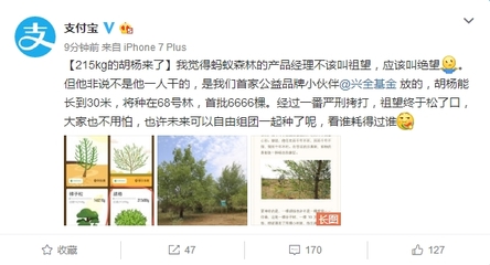 蚂蚁森林的胡杨需要多少能量