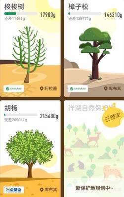 蚂蚁森林的胡杨需要多少能量