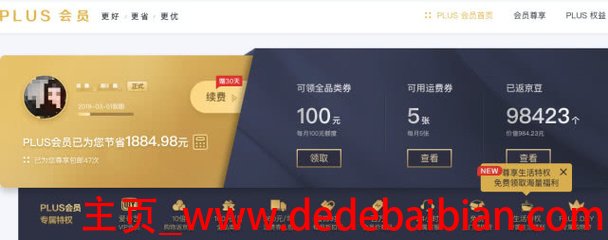 京东钻石会员plus多少钱