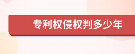 侵权专利判多少