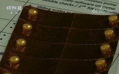 人体的大脑细胞有多少