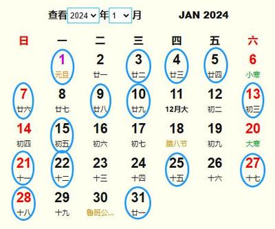 2005年元旦是农历多少