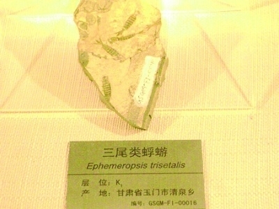 256g是多少mb