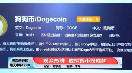 狗狗币2017能涨到多少钱