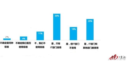 it预算一年多少
