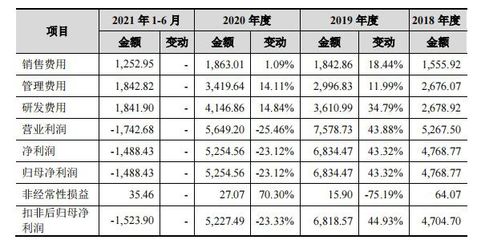 it预算一年多少