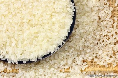 4两大米是多少