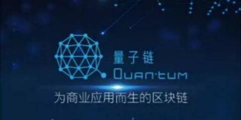 量子链会涨到多少钱