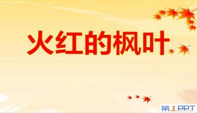 地球占太阳的多少时间