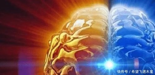 大脑中有多少个神经元