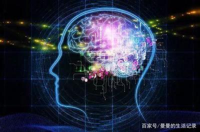 大脑中有多少个神经元