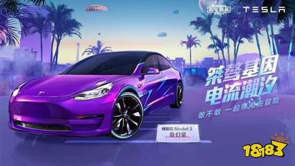 紫色特斯拉价格多少钱