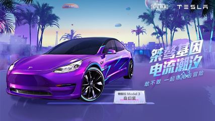 紫色特斯拉价格多少钱