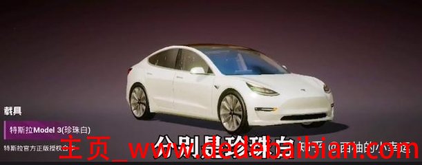 紫色特斯拉价格多少钱