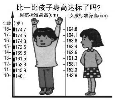 人平均每天长高多少