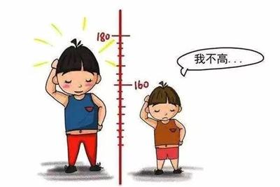 人平均每天长高多少