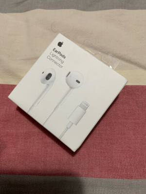 lightning earpods 多少钱