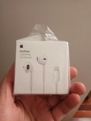 lightning earpods 多少钱