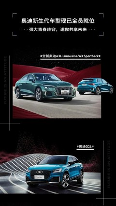 共享奥迪a3多少钱