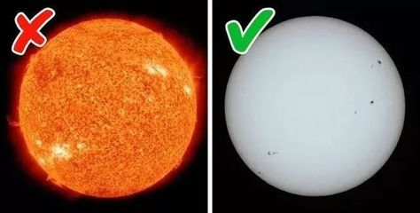 太阳体重是多少钱
