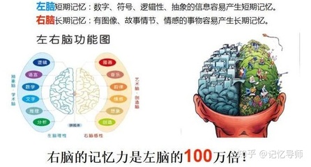 右脑的记忆力是左脑的多少倍