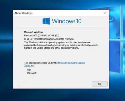 win10最新预览版是多少