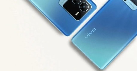 vivo国外买多少钱一条