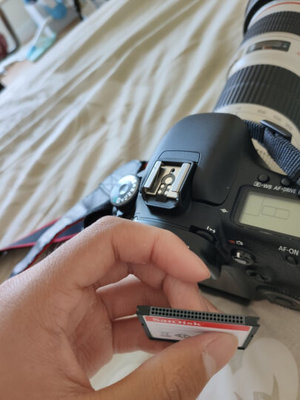 5d4 连拍多少