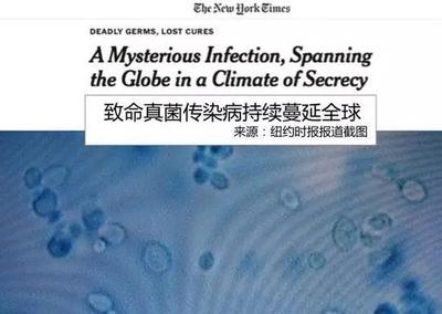 超级真菌死了多少人