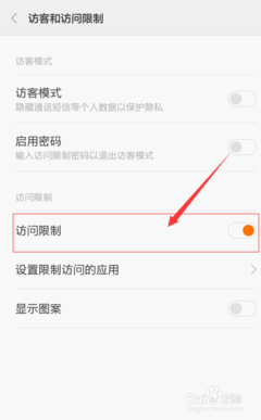 启用访问限制密码是多少