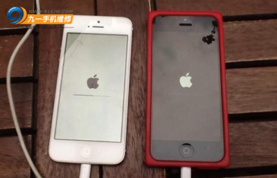 现在苹果6可以卖多少钱一个