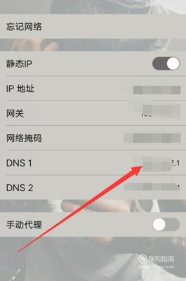 手机dns应该怎么设置多少
