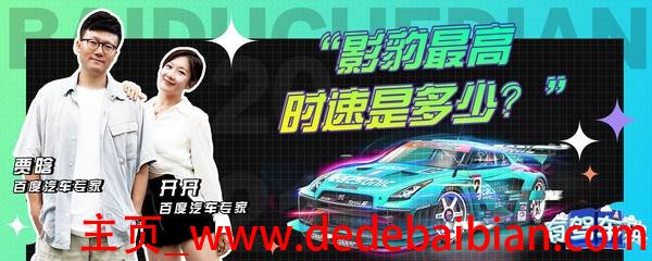 豹子时速多少