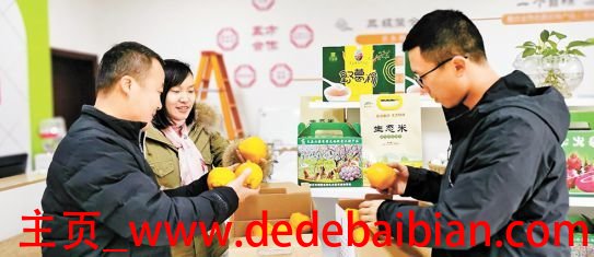 由新希望研发的西部农村电子商务平台网址多少