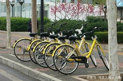 小黄车用户有多少
