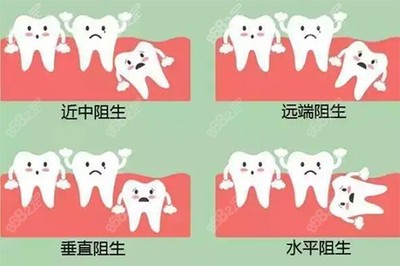 智齿客服多少人