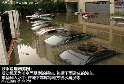 雷雨有多少页