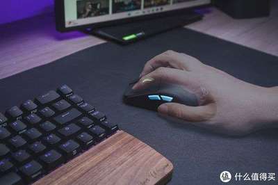 鼠标回报率最高支持多少