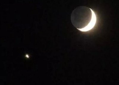 金星手机屏多少钱